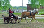 angla_kortavling_160515.jpg
