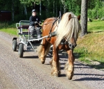dsc_2449.jpg