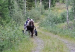 dsc_3401.jpg