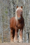 dsc_4427.jpg