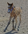 dsc_5921.jpg