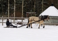 dsc_3917.jpg
