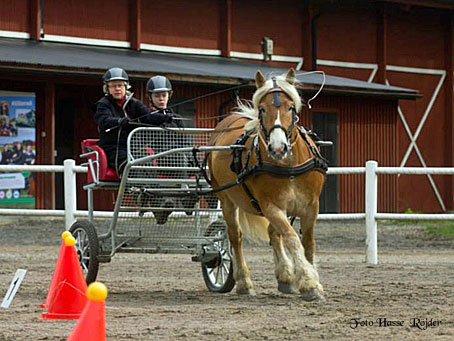 Ängla