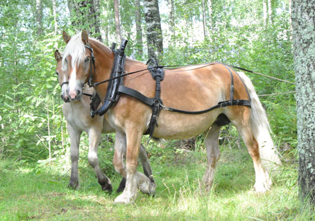 Ängla och Wallarps Alf Ängla och Wallarps Alf