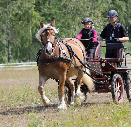 Ängla