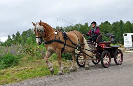 Ängla