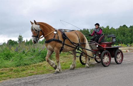 Ängla