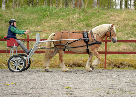 Ängla