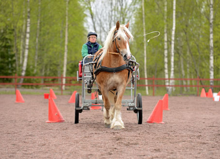 Ängla