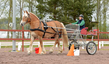 Ängla