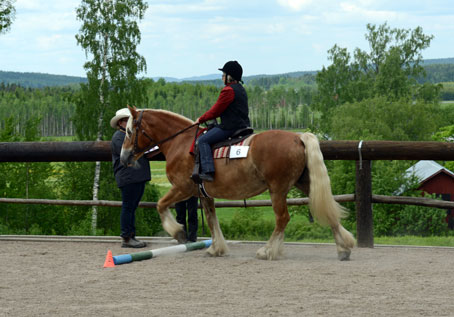 Westerntävling Fageråsen 140531