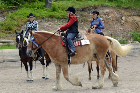 Westerntävling Fageråsen 140531