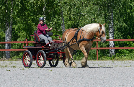 Körträning