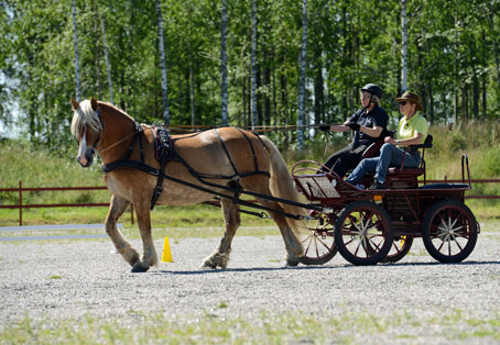 Ängla