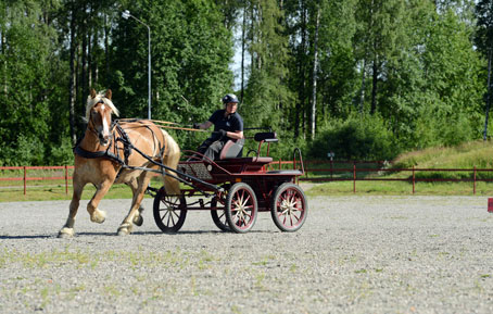 Ängla