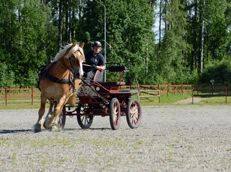 Ängla