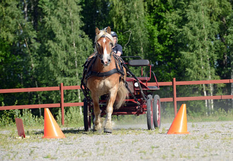 Ängla