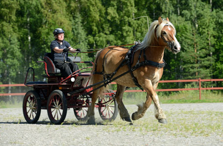 Ängla