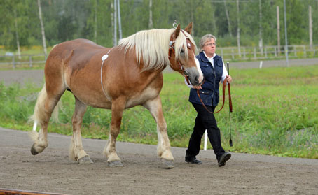 Ängla