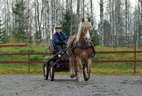 Ängla