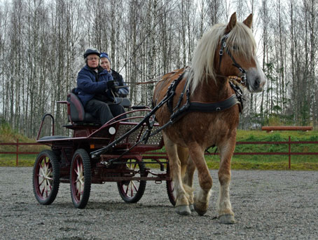 Ängla