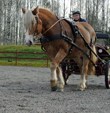 Ängla