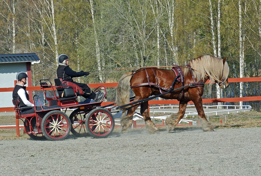 Glomstadgutten 1975