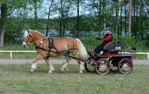Ängla