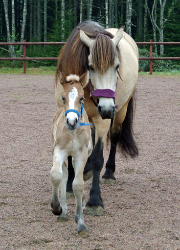 Rox och Sara