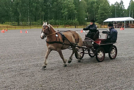 Målgång precision