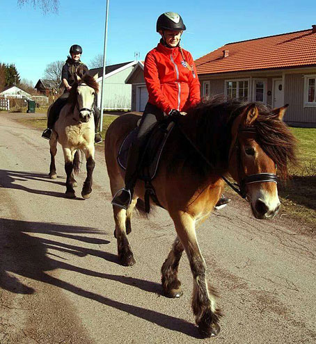 Sara ute tillsammans med före detta stallkompisen Wallarps Bjeller-Tösen.