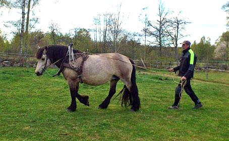 Tindra och Sven